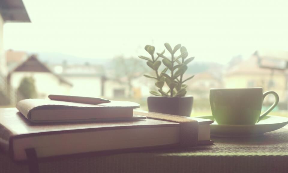 Carnets, stylo, plante grasse et tasse posés sur le rebord d’une fenêtre, lumière du matin