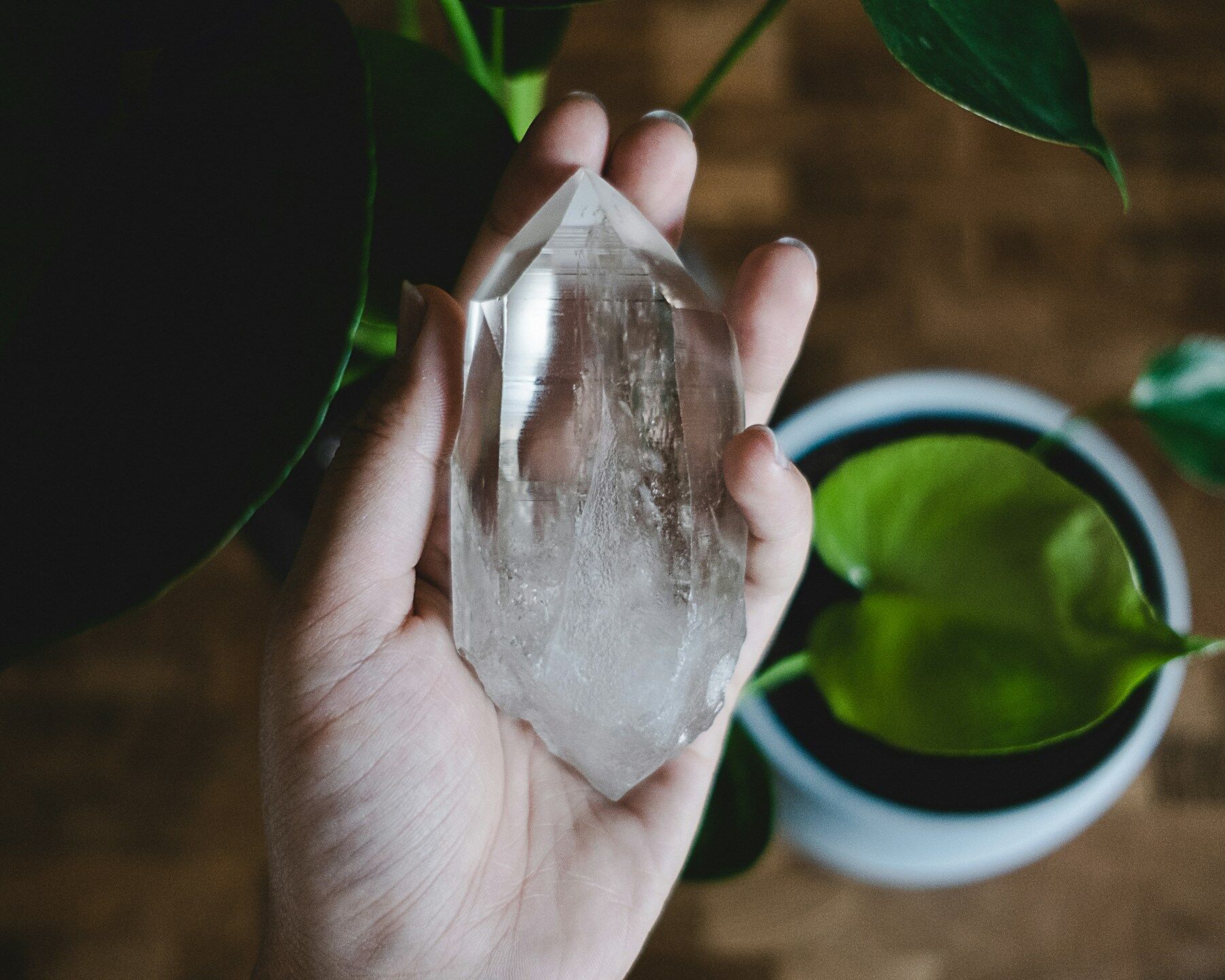 Main tenant une pointe de cristal de roche au-dessus d’une plante verte