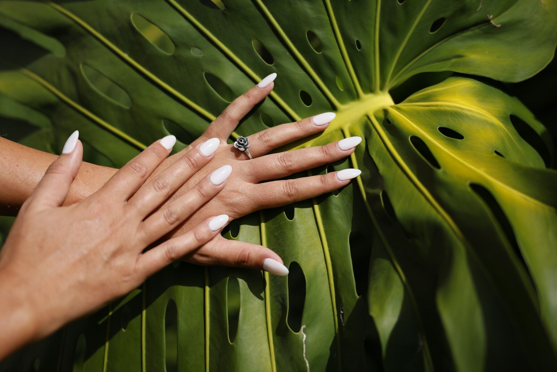 Ongles blancs en amande sur une feuille verte