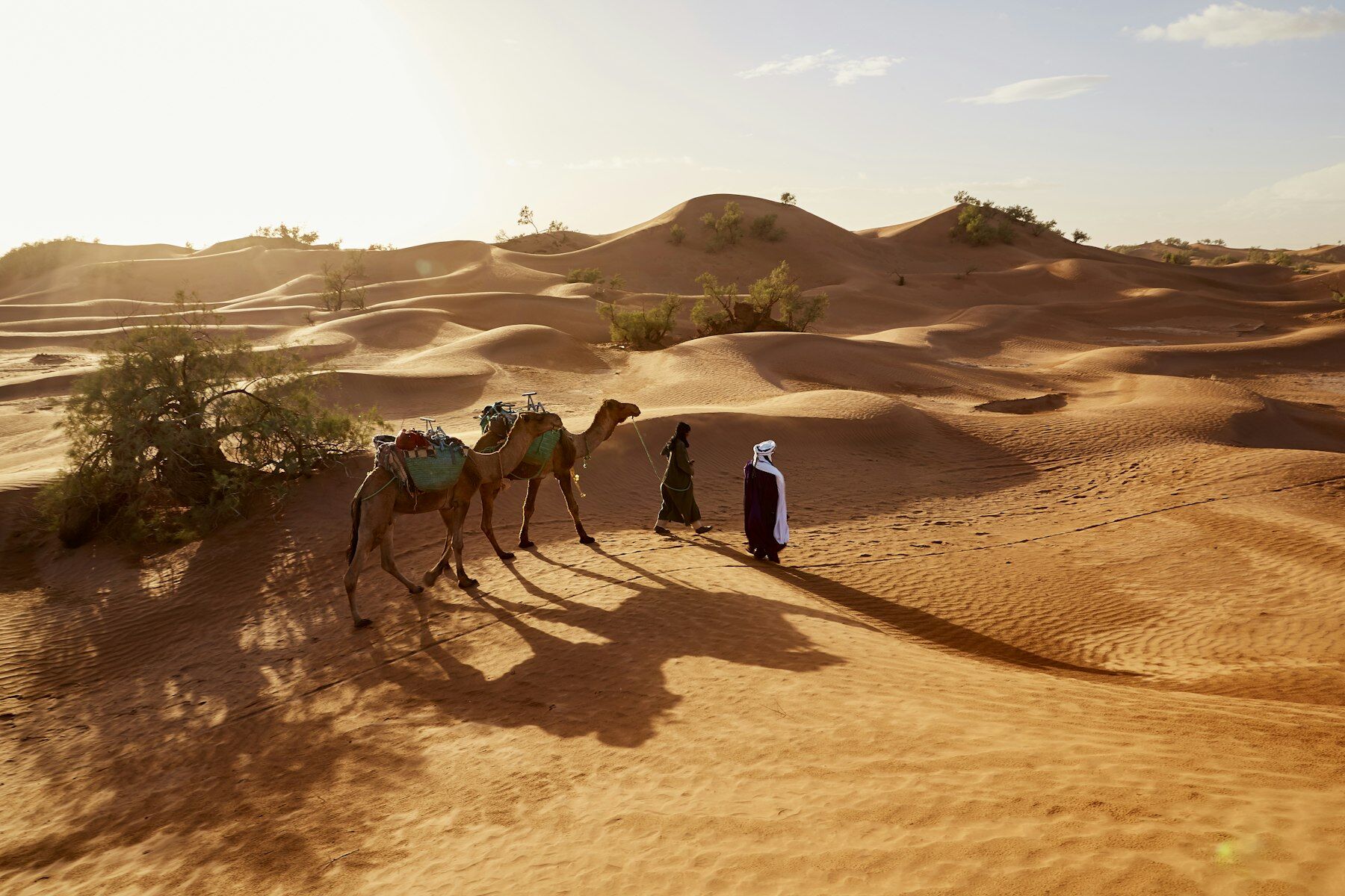 Deux hommes menant deux dromadaires chargés à travers les dunes, lumière dorée