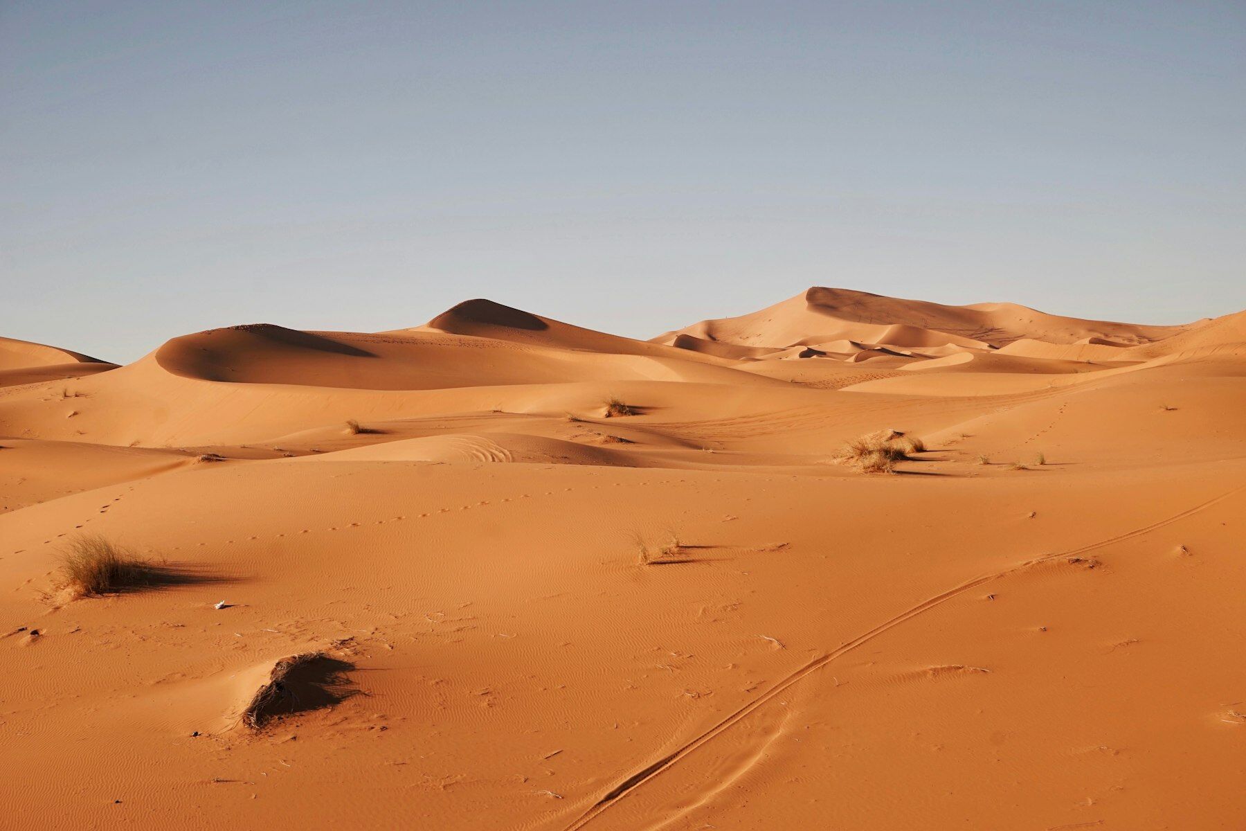 Grandes dunes de sable ocre sous un ciel clair