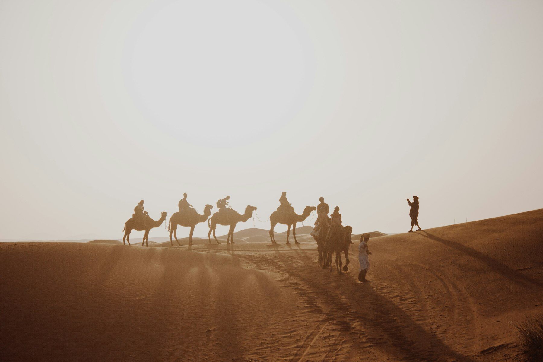 Silhouettes de dromadaires et de marcheurs sur une dune dans la brume