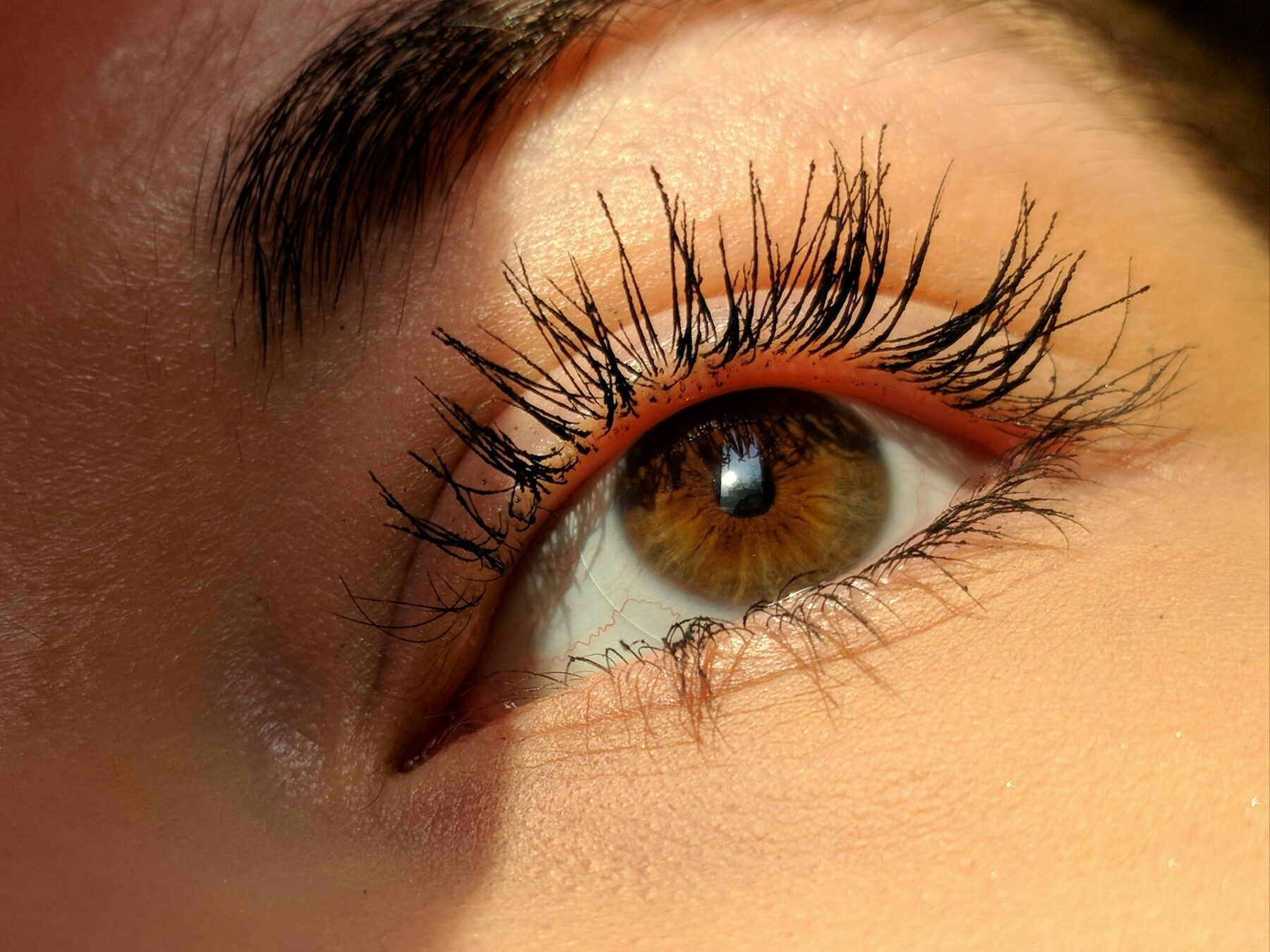 Œil aux cils allongés