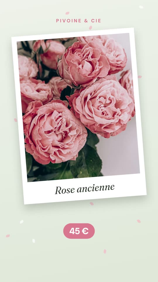 Exemple de vidéo TikTok pour un commerce : fleuriste